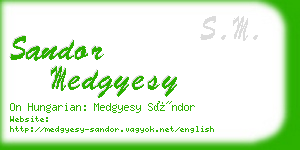 sandor medgyesy business card